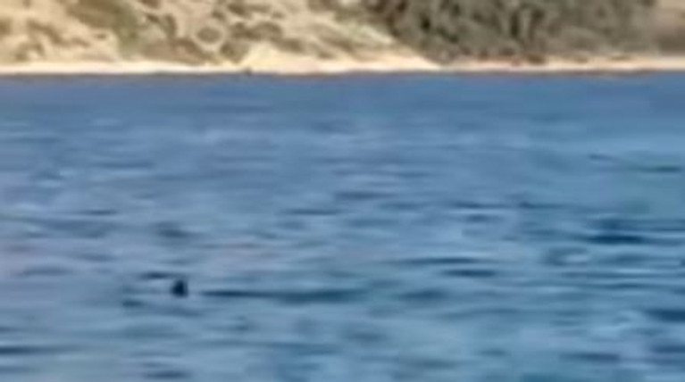 ΚΑΡΧΑΡΙΑΣ ΠΑΡΑΛΙΑ ΣΑΡΑΝΤΗ ΒΟΙΩΤΙΑΣ