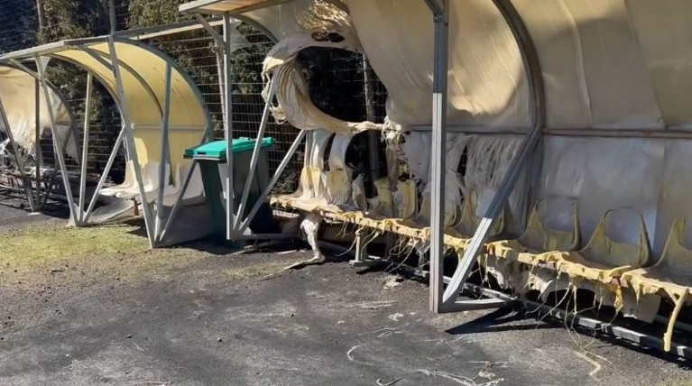 reuymno