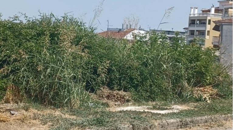 ακαθαριστα οικοπεδα