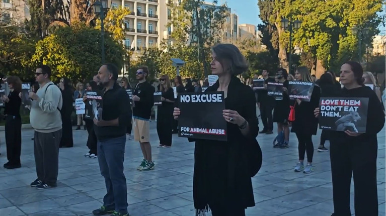 VEGANS ΔΙΑΜΑΡΤΥΡΙΑ ΠΛΑΤΕΙΑ ΣΥΝΤΑΓΜΑΤΟΣ ΕΝΟΨΕΙ ΠΑΣΧΑ