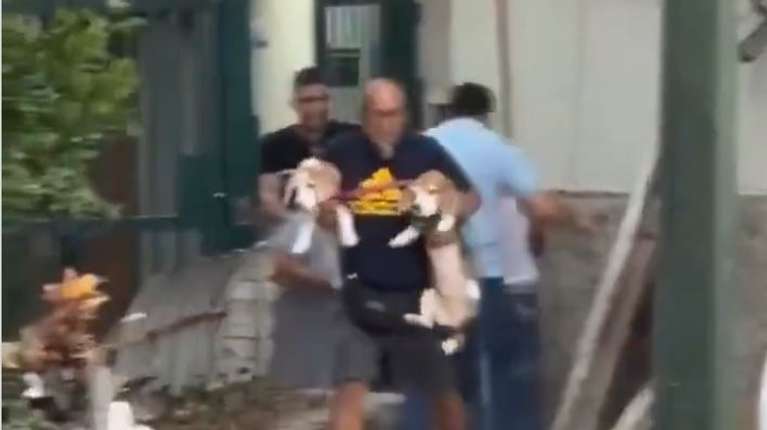 Συγκινεί άνδρας στη Βενεζουέλα: Η στιγμή που έσωσε τα δύο σκυλάκια του από τα συντρίμμια μετά τους σεισμούς (βίντεο)