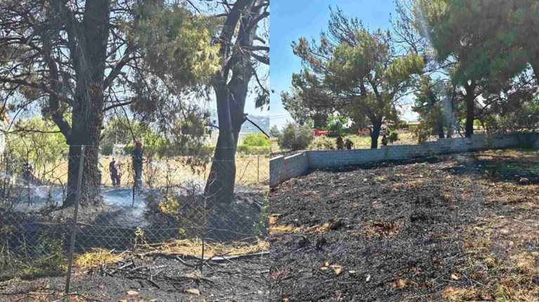 ΦΩΤΙΑ ΚΡΥΟΝΕΡΙ ΣΥΛΛΗΨΗ 89ΧΡΟΝΟΣ