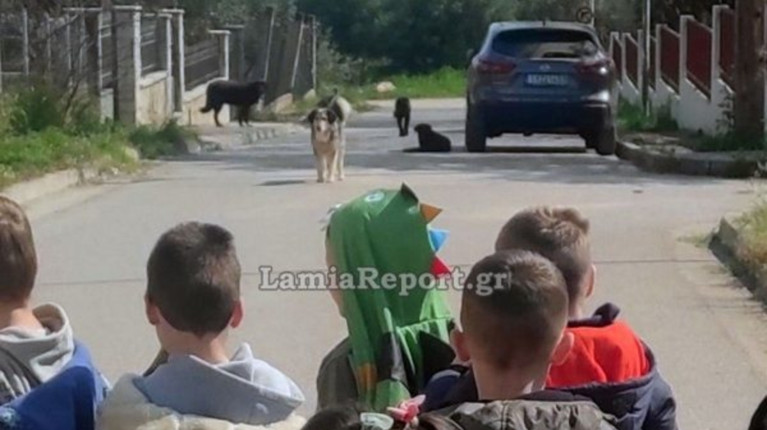 ΛΑΜΙΑ ΑΔΕΣΠΟΤΑ