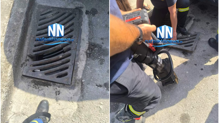 ΝΑΥΠΑΚΤΟΣ ΥΠΟΝΟΜΟΣ