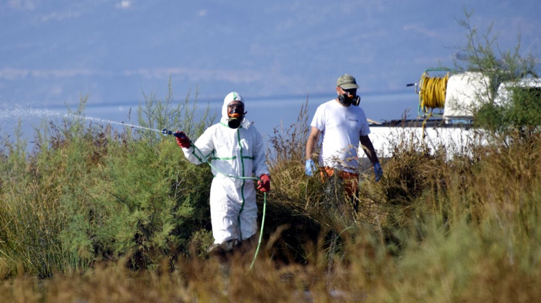 Στην εποχή του ιού του Δυτικού Νείλου - Τα πρώτα κρούσματα