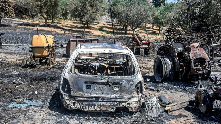 καμμενα ιχ