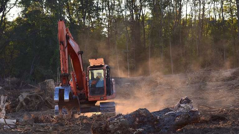 Εκθεση σοκ από τη WWF: Ο κόσμος μας σε κίνδυνο - Ο πλανήτης πλησιάζει σε επικίνδυνα σημεία καμπής - Τα κύρια αίτια της απώλειας της φύσης