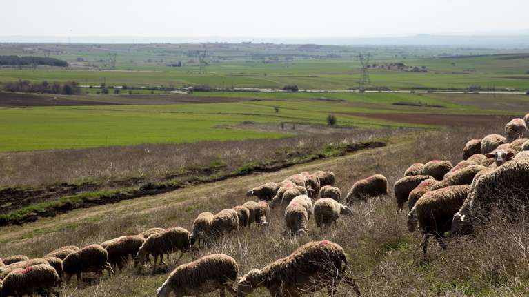 ΟΠΕΚΕΠΕ: Είχε αποπεμφθεί ο κτηνίατρος ο οποίος αναφέρεται στους διαλόγους της Κατερίνας Παπακώστα
