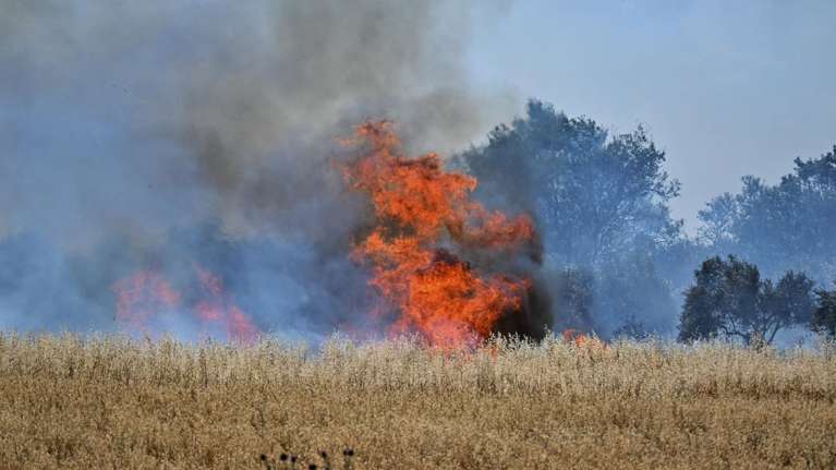 Φωτιά στη Νέα Βύσσα Έβρου: Ισχυρή κινητοποίηση επίγειων και εναέριων δυνάμεων