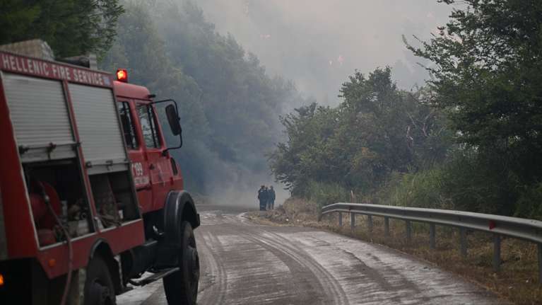 Εύβοια: Φωτιά σε δασική έκταση στην περιοχή Παραδείσι - Ήχησε το 112